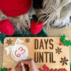 Christmas Countdown Sign - Handcrafted Christmas Decor